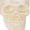 Cast Iron Human Skull Paperweight - Unique Desk Decor and Office Gift