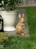 Adorable Bunny Garden Figurine - A Charming Addition to Your Outdoor Space