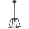 1 Light pendant light